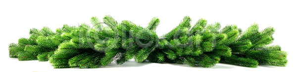 사람없음 JPG 포토 해외이미지 겨울 나무 나뭇가지 디자인 선물 오브젝트 초대 크리스마스 해외202105 화환