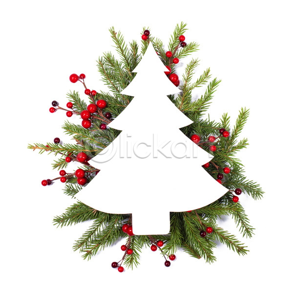 축하 사람없음 JPG 포토 해외이미지 겨울 나뭇가지 디자인 레이아웃 열매 장식 축제 카피스페이스 해외202105