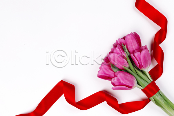 사랑 사람없음 JPG 포토 하이앵글 해외이미지 꽃다발 리본 묶기 발렌타인데이 실내 카피스페이스 튤립 해외202105 흰배경
