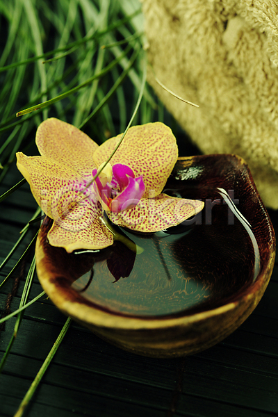 사람없음 JPG 포토 해외이미지 그릇 난초꽃 물 수건 스파용품 실내 아로마테라피 잎 풀(식물) 해외202004