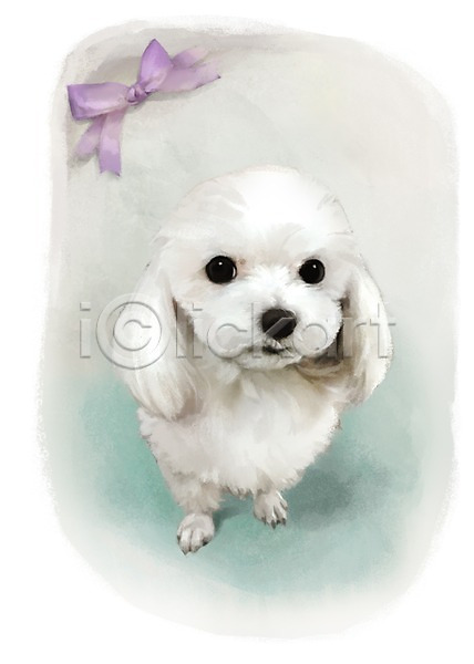 귀여움 사람없음 PSD 강아지 개 동물 리본 말티즈 반려동물 백그라운드 포유류 한마리 흰색