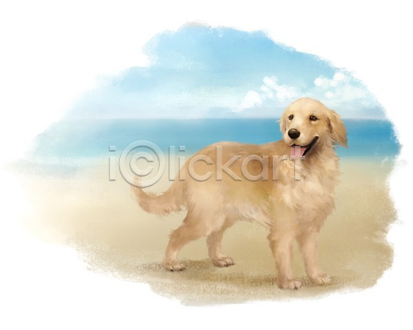 귀여움 사람없음 PSD 갈색 강아지 개 골든리트리버 동물 반려동물 백그라운드 포유류 한마리 해변