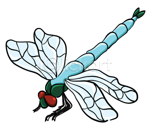 사람없음 JPG 일러스트 포토 해외이미지 고립 곤충 그래픽 그림 나비 디자인 미술 백그라운드 야생동물 엘리먼트 자연 잠자리 장식 초록색 추상 컬러풀 파란색 해외202105 흰색