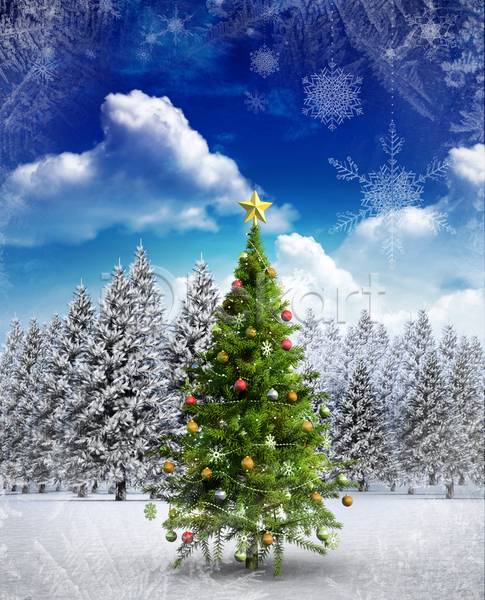 추위 축하 침묵 평화 사람없음 JPG 포토 해외이미지 겨울 나무 눈내림 디지털 서리 숲 얼음 자연 장식 장식볼 전나무 축제 컴퓨터그래픽 크리스마스 크리스마스장식 크리스마스트리 풍경(경치) 하늘 해외202105 환경 휴가