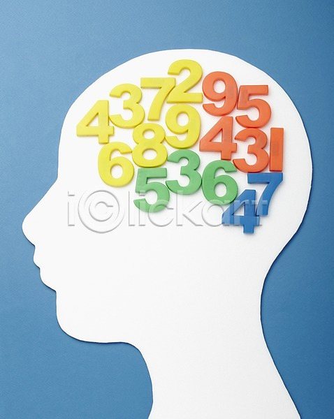 사람없음 JPG 포토 교육 글자교육 뇌 뇌구조 두뇌 머리 문자 숫자 스튜디오촬영 실내