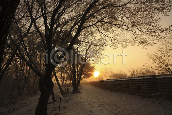사람없음 JPG 포토 겨울 계절 나무 나뭇가지 눈(날씨) 벽 성벽 식물 야외 운해 일출 자연 주간 태양 풍경(경치) 해