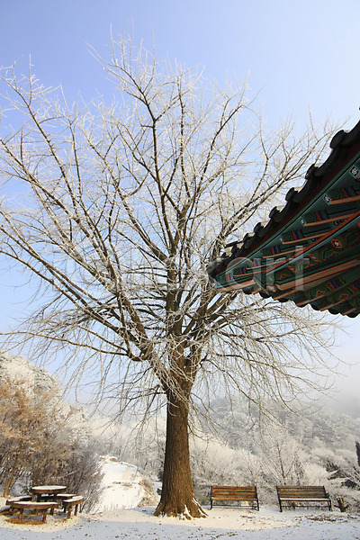 사람없음 JPG 포토 겨울 계절 나무 나뭇가지 눈(날씨) 단청 벤치 설경 식물 야외 의자 자연 주간 풍경(경치)