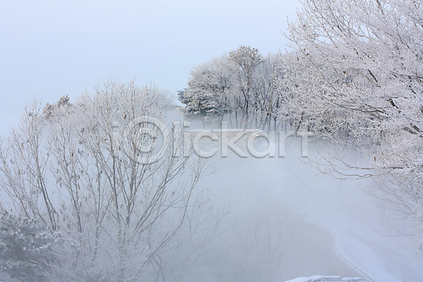 사람없음 JPG 포토 겨울 계절 나무 나뭇가지 눈꽃 설경 숲 식물 안개 야외 운해 자연 주간 풍경(경치)