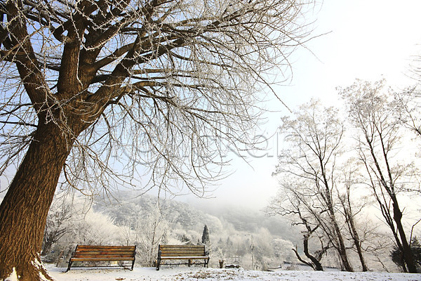 사람없음 JPG 포토 겨울 계절 나무 나뭇가지 벤치 설경 식물 야외 의자 자연 주간 풍경(경치)