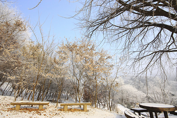 사람없음 JPG 포토 겨울 계절 공원 나무 눈꽃 벤치 설경 숲 식물 야외 의자 자연 주간 풍경(경치)