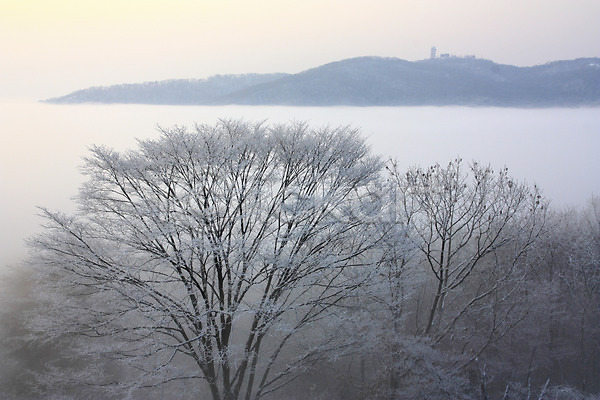 사람없음 JPG 포토 계절 나무 눈(날씨) 눈꽃 바다 설경 식물 안개 야외 운해 자연 풍경(경치)