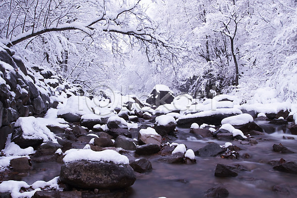 사람없음 JPG 포토 개울 겨울 계절 나무 나뭇가지 눈(날씨) 산 설경 숲 식물 야외 자연 주간 풍경(경치) 한국
