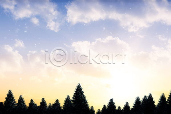 추위 평화 사람없음 JPG 포토 해외이미지 겨울 나무 눈내림 디지털 숲 얼음 자연 전나무 카피스페이스 컴퓨터그래픽 풍경(경치) 해외202105 환경