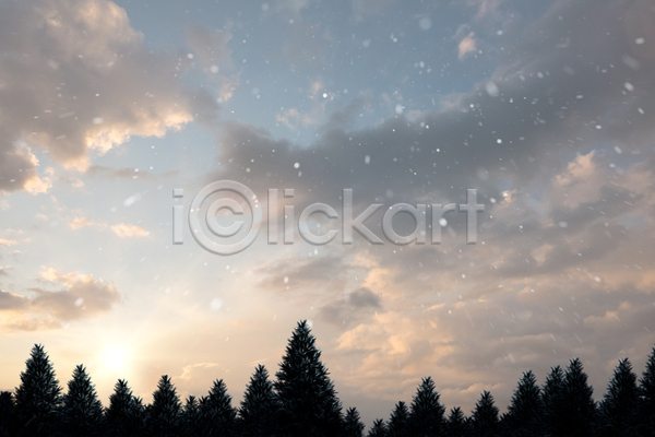추위 평화 사람없음 JPG 포토 해외이미지 겨울 나무 눈내림 디지털 숲 얼음 자연 전나무 카피스페이스 컴퓨터그래픽 풍경(경치) 해외202105 환경