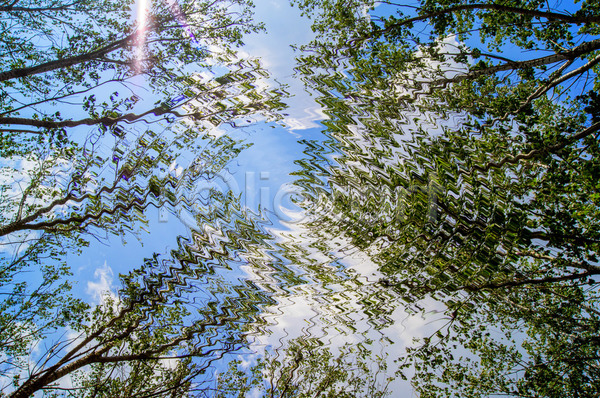 신선 사람없음 JPG 포토 해외이미지 각도 계절 공원 구름(자연) 나무 나뭇가지 내추럴 러시아 맑음 목재 백그라운드 벽지 봄 빛 숲 식물 야외 어둠 여름(계절) 응시 일몰 잎 자연 자작나무 정상 초록색 추상 컬러풀 파란색 패턴 풍경(경치) 하늘 해외202004 해외202105 햇빛 환경