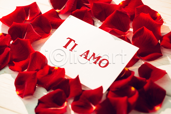 사랑 사람없음 JPG 포토 해외이미지 꽃잎 발렌타인데이 빨간색 장미 쪽지 편지 하트 해외202105