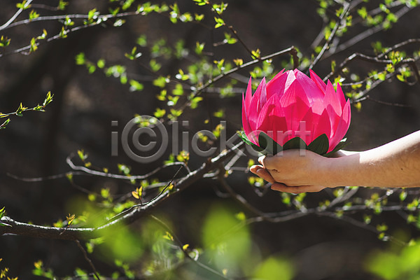 신체부위 JPG 소프트포커스 아웃포커스 포토 나뭇가지 들기 봄 부처님오신날 불교 불교용품 손 야외 연꽃(꽃) 연등 전통 주간 청계산