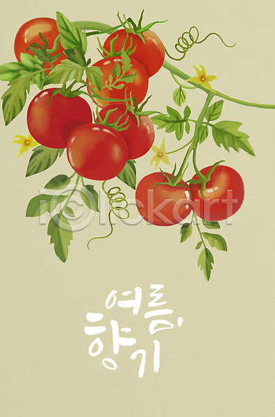 사람없음 PSD 일러스트 여름(계절) 여름음식 잎 잎줄기 제철 제철과일 타이포그라피 토마토