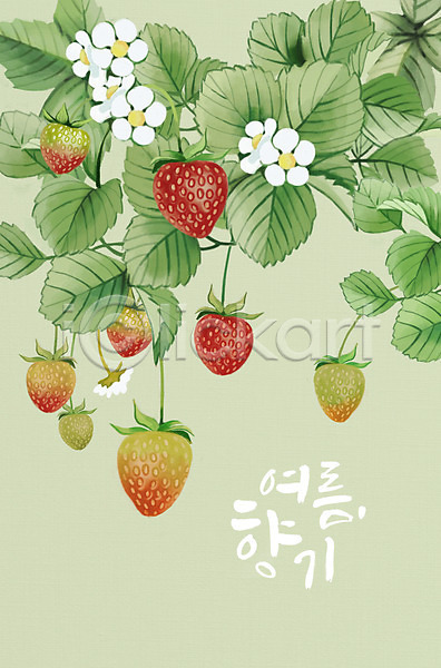 사람없음 PSD 일러스트 딸기 딸기꽃 딸기잎 여름(계절) 여름음식 제철 제철과일 타이포그라피