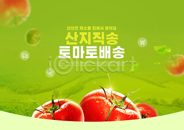 신선 사람없음 PSD 편집이미지 나뭇잎 로컬푸드 배송 산지직송 초록색 타이포그라피 토마토