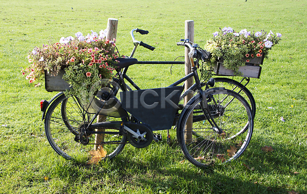 빈티지 사람없음 JPG 포토 해외이미지 꽃 담기 야외 자전거 잔디 장식 주간 초원(자연) 풍경(경치) 해외202004 해외202105