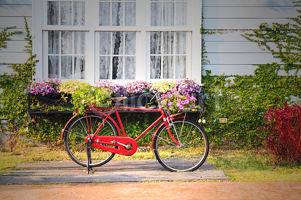 사람없음 JPG 포토 해외이미지 꽃 야외 자전거 주간 주택 창문 풍경(경치) 해외202004 해외202105