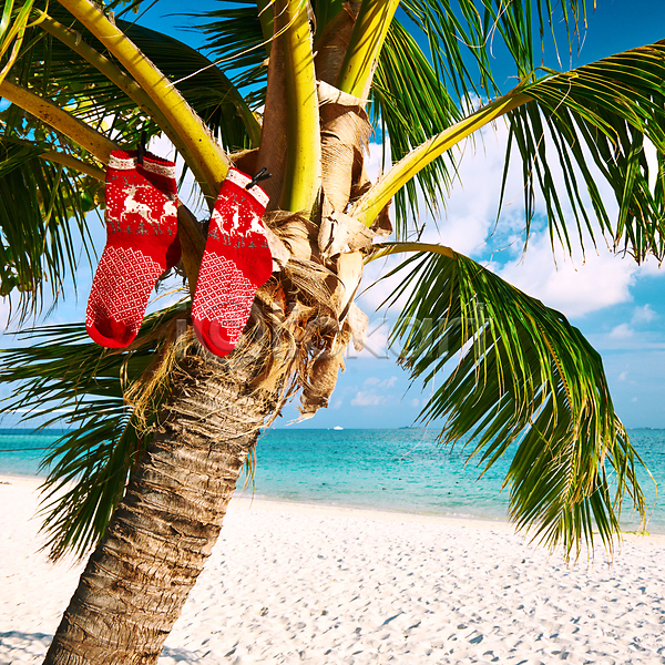 고급 사람없음 JPG 포토 해외이미지 모래 몰디브 물 바다 빨간색 섬 손바닥 야외 양말 여행 이국적 자연 장식 크리스마스 터키석 파란색 풍경(경치) 해외202004 해외202105 휴가