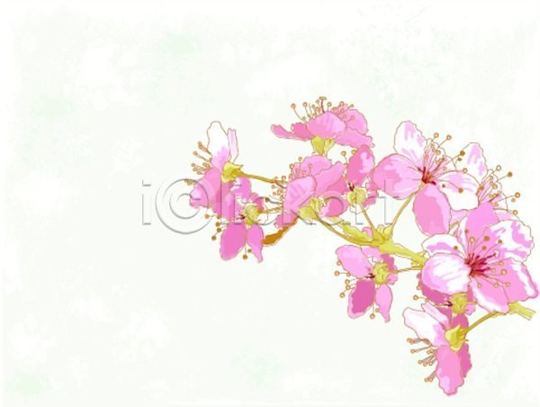 사람없음 EPS 일러스트 해외이미지 꽃가지 벚꽃 수채화(물감) 해외202004 해외202105
