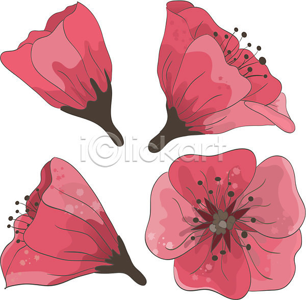사람없음 EPS 일러스트 해외이미지 꽃 꽃무늬 백그라운드 수채화(물감) 싱글 잎 장미 해외202004 해외202105