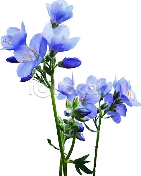 사람없음 EPS 일러스트 해외이미지 꽃 꽃봉오리 수채화(물감) 줄기 파란색 해외202004 해외202105