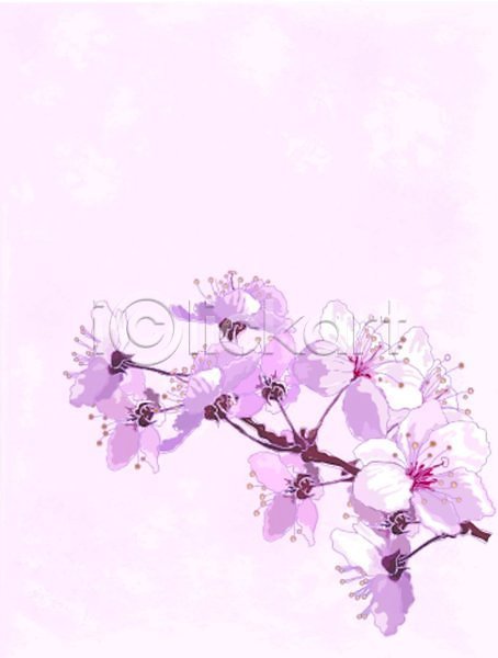 사람없음 EPS 일러스트 해외이미지 꽃 꽃무늬 백그라운드 수채화(물감) 해외202004 해외202105