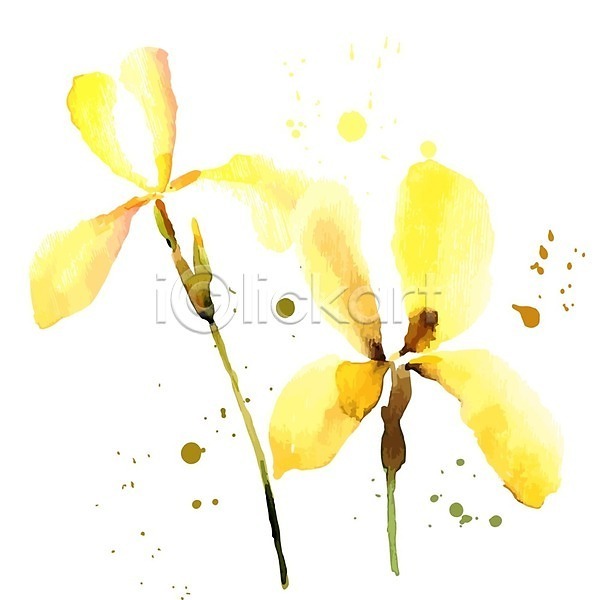 사람없음 EPS 일러스트 해외이미지 노란색 붓꽃 수채화(물감) 줄기 해외202004 해외202105