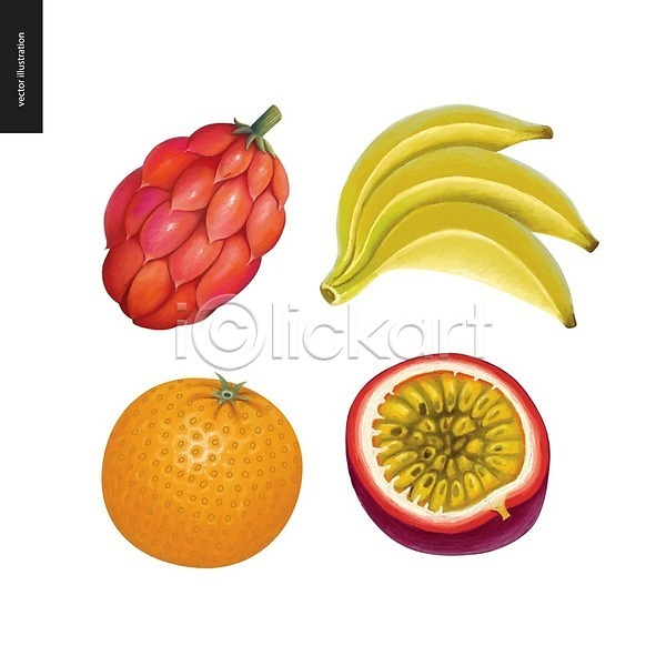 사람없음 EPS 일러스트 해외이미지 단면 바나나 열매 오렌지 패션후르츠 해외202004 해외202105