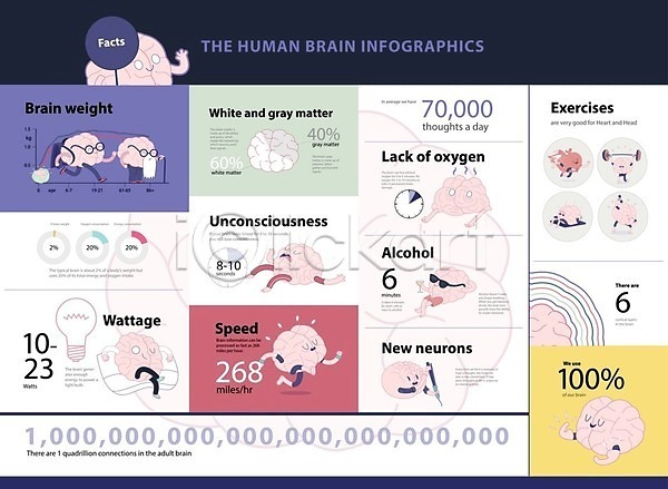 귀여움 EPS 일러스트 해외이미지 그래프 뇌 달리기 두뇌 두뇌개발 인포그래픽 잠 전구 캐릭터 해외202004 해외202105