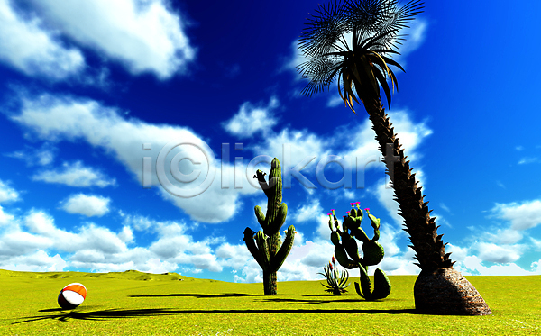 건조 사람없음 JPG 포토 해외이미지 공 구름(자연) 나무 멕시코 미국 밭 사막 선인장 숲 식물 아프리카 야외 여름(계절) 여행 자연 풍경(경치) 하늘 해외202004 해외202105