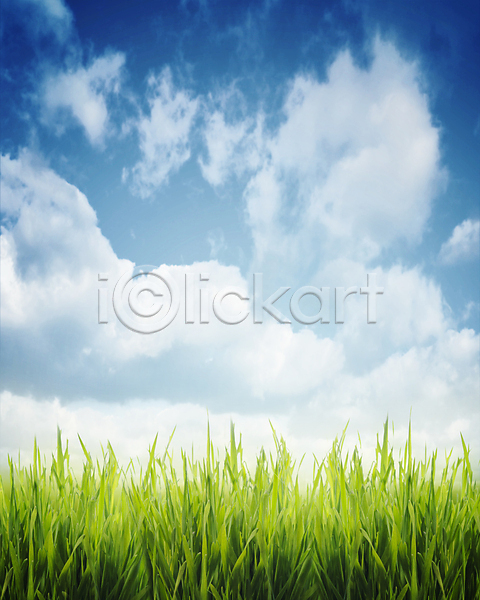 사람없음 JPG 포토 해외이미지 구름(자연) 야외 여름(계절) 자연 잔디 주간 풍경(경치) 하늘 해외202004 해외202105