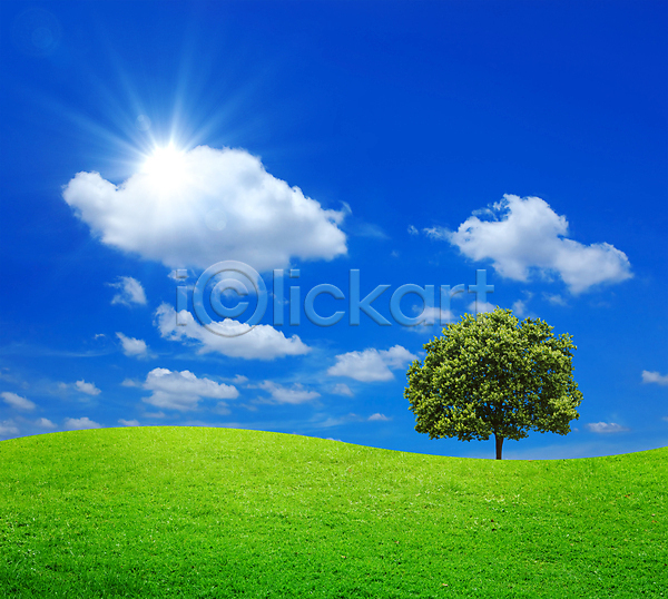 사람없음 JPG 포토 해외이미지 구름(자연) 나무 봄 야외 자연 주간 초원(자연) 풍경(경치) 하늘 한그루 해외202004 해외202105 햇빛