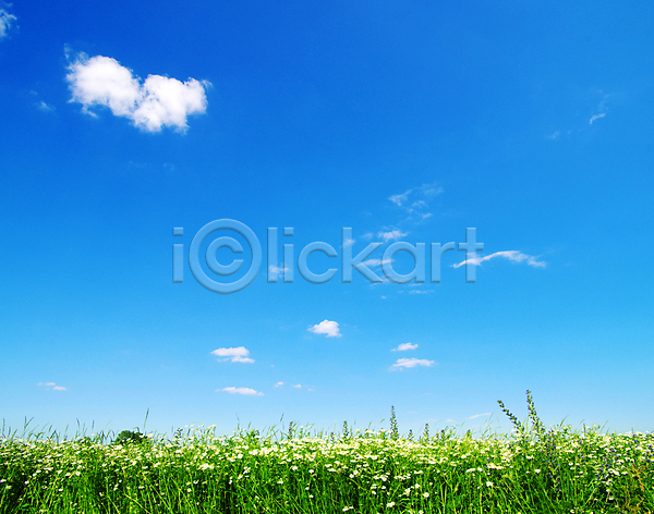 사람없음 JPG 포토 해외이미지 구름(자연) 맑음 봄 야외 자연 잔디 주간 풍경(경치) 하늘 해외202004 해외202105