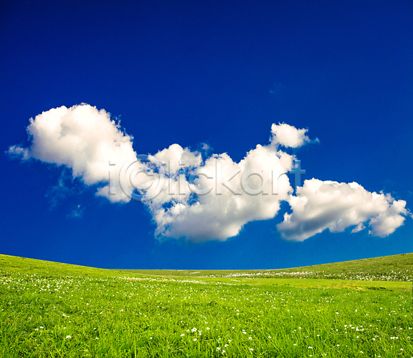 사람없음 JPG 포토 해외이미지 구름(자연) 꽃 봄 야외 자연 자연백그라운드 주간 초원(자연) 풍경(경치) 하늘 해외202004 해외202105