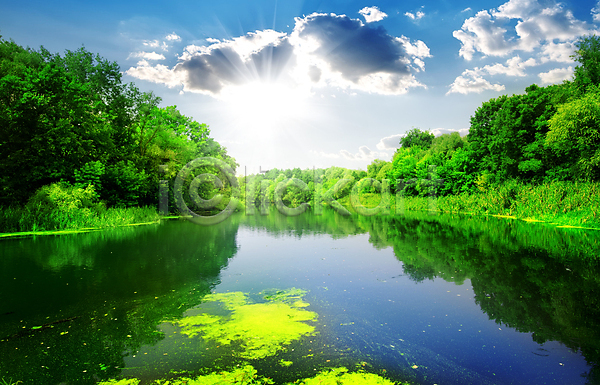 사람없음 JPG 포토 해외이미지 강 구름(자연) 나무 봄 야외 우크라이나 자연 자연백그라운드 주간 태양 풍경(경치) 하늘 해외202004 해외202105 햇빛 호수
