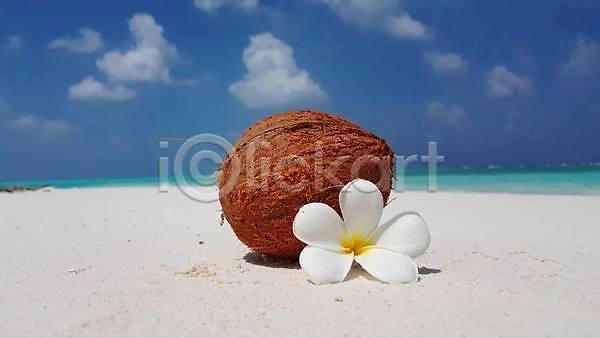 따뜻함 사람없음 JPG 포토 해외이미지 꽃 꽃잎 먹기 모래 모래사장 몰디브 바다 백그라운드 섬 야외 여름(계절) 여행 우유 음료 음식 자연 코코넛 태양 풍경(경치) 하늘 해외202004 해외202105