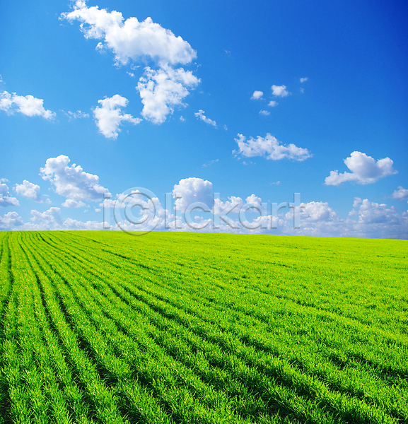 사람없음 JPG 포토 해외이미지 구름(자연) 밭 야외 자연백그라운드 주간 풍경(경치) 하늘 해외202004 해외202105