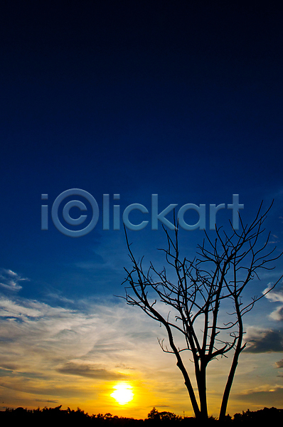 사람없음 JPG 실루엣 포토 해외이미지 구름(자연) 나무 노을 야외 자연 자연백그라운드 주간 태양 풍경(경치) 하늘 해외202004 해외202105