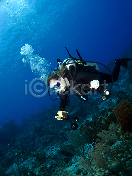 한명 JPG 포토 해외이미지 바다 부채 사진사 산호 섬 암초 어류 해외202004 해외202105