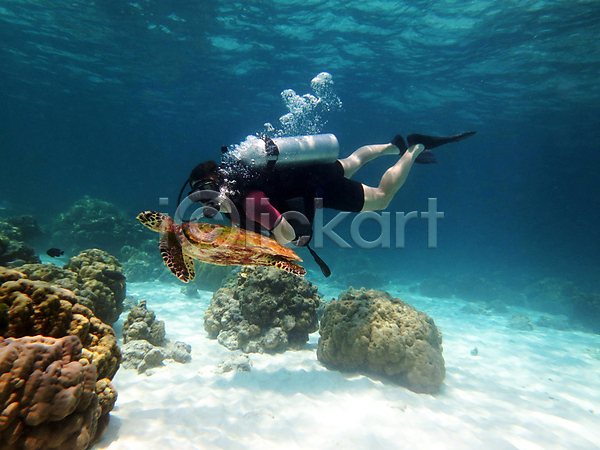 여자 한명 JPG 포토 해외이미지 거북이 껍질 바다 산호 생태계 스노클링 암초 어류 자연 카메라 파충류 해외202004 해외202105 환경 휴가