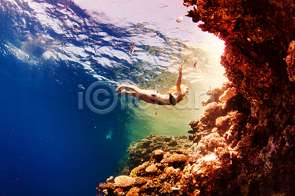 행복 사람 성인 여자 한명 JPG 포토 해외이미지 건강 라이프스타일 바다 산호 스노클링 암초 어류 여름(계절) 여행 자연 해외202004 해외202105