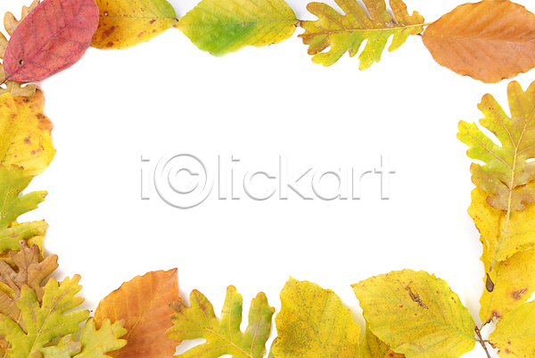 사람없음 JPG 포토 해외이미지 가을(계절) 낙엽 단풍 백그라운드 잎 카피스페이스 프레임 해외202004 해외202105