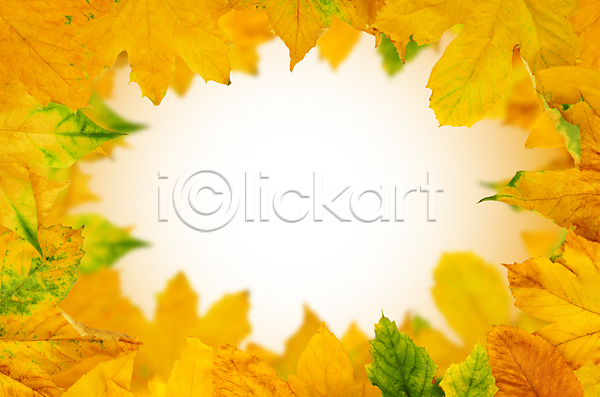 사람없음 JPG 포토 해외이미지 가을(계절) 낙엽 단풍 백그라운드 잎 프레임 해외202004 해외202105
