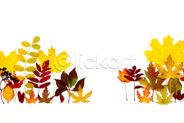 사람없음 JPG 포토 해외이미지 가을(계절) 낙엽 단풍 백그라운드 잎 카피스페이스 해외202004 해외202105