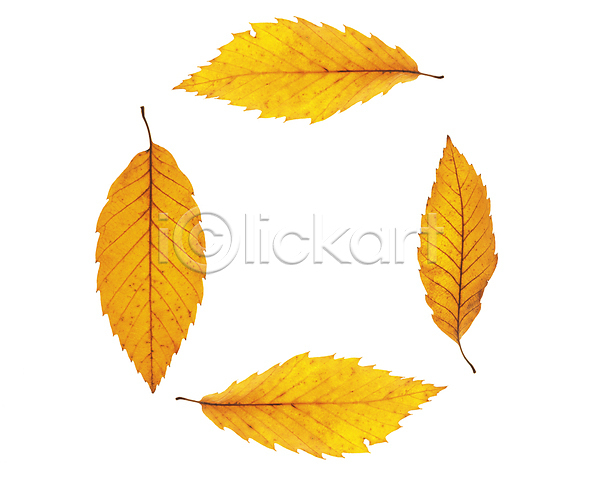 사람없음 JPG 포토 해외이미지 가을(계절) 낙엽 단풍 백그라운드 잎 프레임 해외202004 해외202105